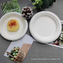 Biodegradable sugarcane packaging 7 inch plates